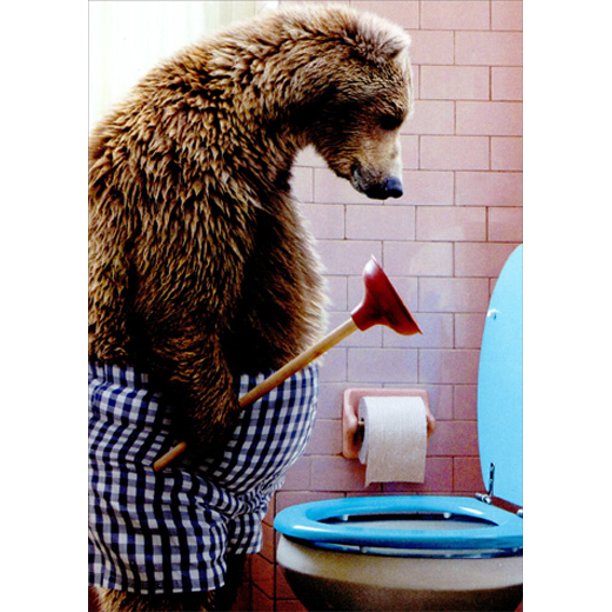 front of card photograph of a bear in boxer shorts and a plunger in hand in a bathroom looking at toilet